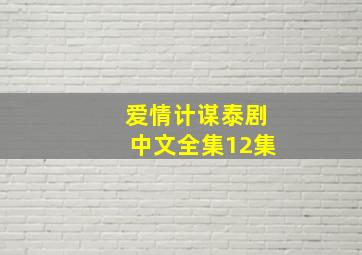 爱情计谋泰剧中文全集12集