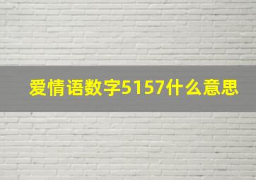 爱情语数字5157什么意思