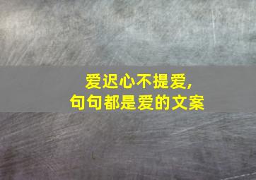 爱迟心不提爱,句句都是爱的文案