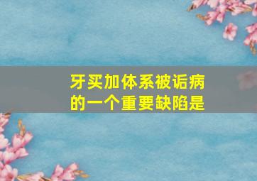 牙买加体系被诟病的一个重要缺陷是