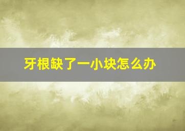 牙根缺了一小块怎么办