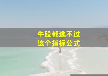 牛股都逃不过这个指标公式