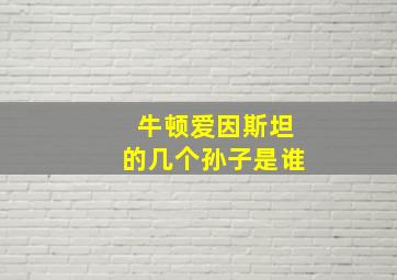 牛顿爱因斯坦的几个孙子是谁