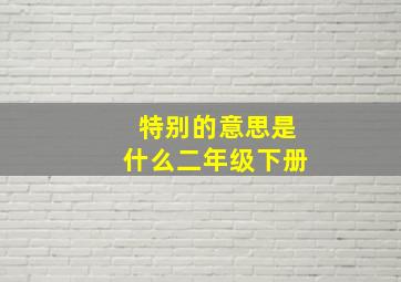 特别的意思是什么二年级下册