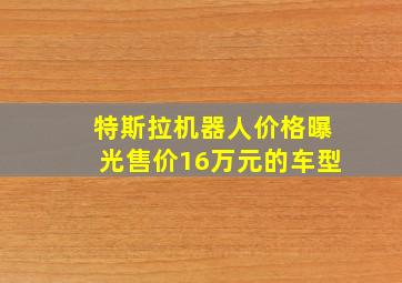 特斯拉机器人价格曝光售价16万元的车型