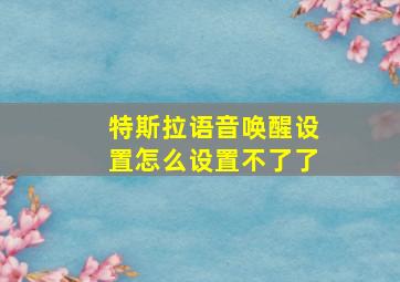 特斯拉语音唤醒设置怎么设置不了了