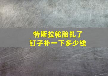 特斯拉轮胎扎了钉子补一下多少钱