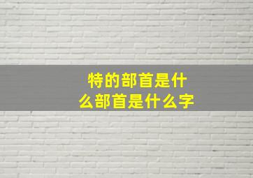 特的部首是什么部首是什么字