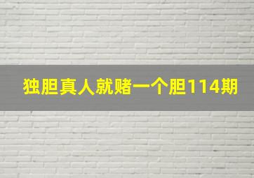 独胆真人就赌一个胆114期