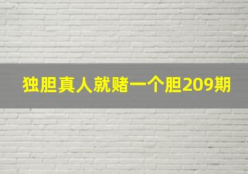 独胆真人就赌一个胆209期