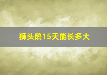 狮头鹅15天能长多大