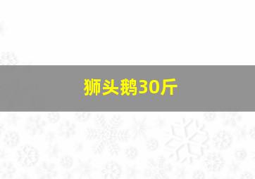 狮头鹅30斤