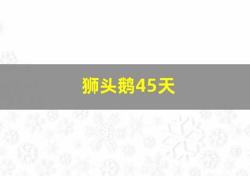 狮头鹅45天