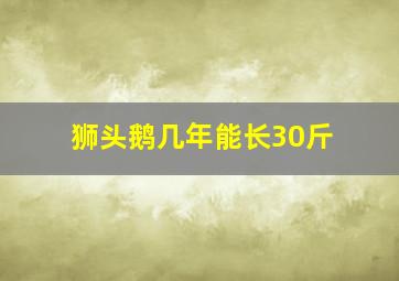 狮头鹅几年能长30斤