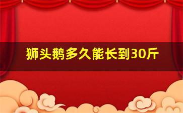 狮头鹅多久能长到30斤