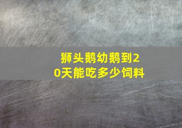 狮头鹅幼鹅到20天能吃多少饲料