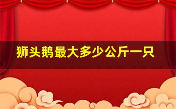 狮头鹅最大多少公斤一只