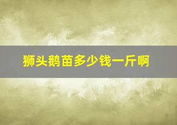 狮头鹅苗多少钱一斤啊