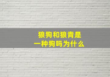 狼狗和狼青是一种狗吗为什么