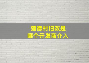 猎德村旧改是哪个开发商介入