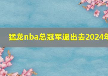 猛龙nba总冠军退出去2024年