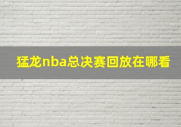 猛龙nba总决赛回放在哪看