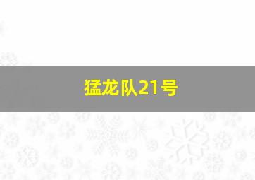 猛龙队21号