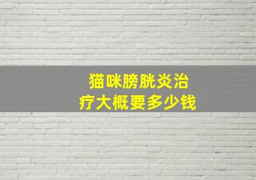 猫咪膀胱炎治疗大概要多少钱