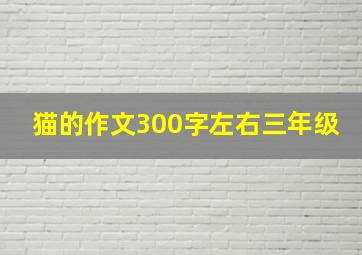 猫的作文300字左右三年级