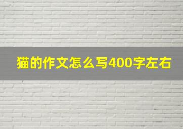 猫的作文怎么写400字左右