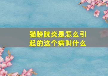 猫膀胱炎是怎么引起的这个病叫什么