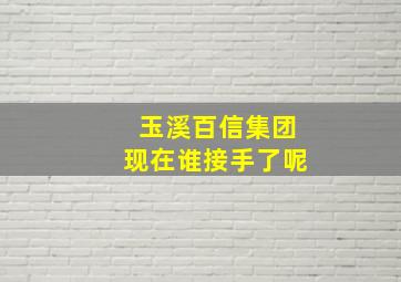 玉溪百信集团现在谁接手了呢