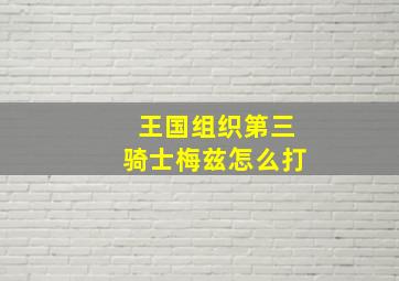 王国组织第三骑士梅兹怎么打