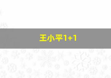 王小平1+1