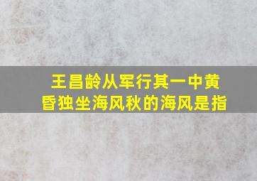 王昌龄从军行其一中黄昏独坐海风秋的海风是指