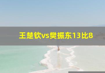 王楚钦vs樊振东13比8