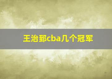 王治郅cba几个冠军