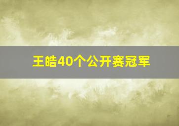 王皓40个公开赛冠军