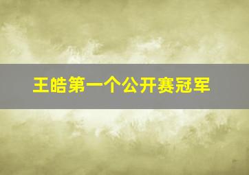 王皓第一个公开赛冠军