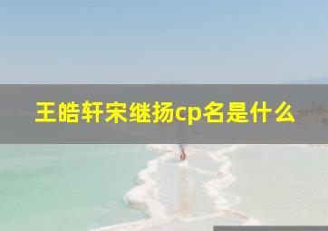 王皓轩宋继扬cp名是什么