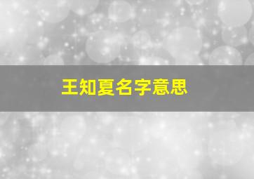 王知夏名字意思