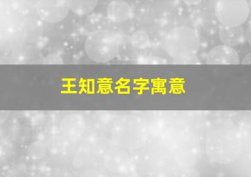 王知意名字寓意