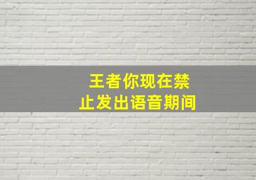 王者你现在禁止发出语音期间