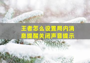 王者怎么设置局内消息提醒关闭声音提示