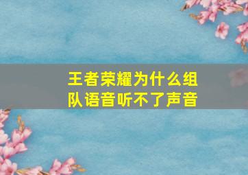 王者荣耀为什么组队语音听不了声音