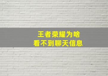 王者荣耀为啥看不到聊天信息