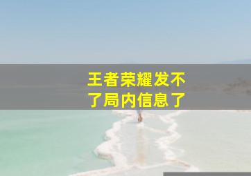 王者荣耀发不了局内信息了