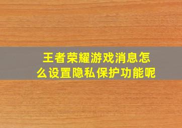 王者荣耀游戏消息怎么设置隐私保护功能呢