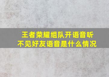 王者荣耀组队开语音听不见好友语音是什么情况