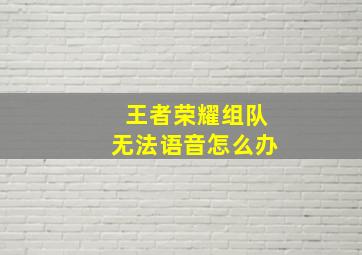 王者荣耀组队无法语音怎么办